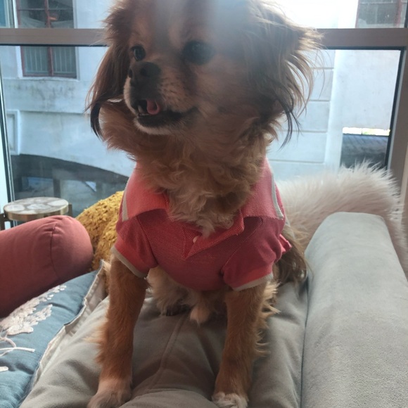 Christine *Scene* 🥳🤪 - Picture 3 of 16